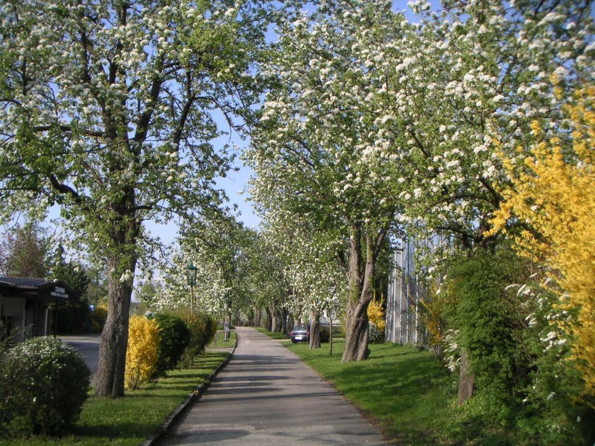Ferien-Garconniere Hemetsberger Daire Weyregg am Attersee Dış mekan fotoğraf